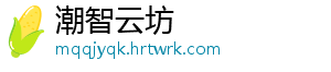 潮智云坊